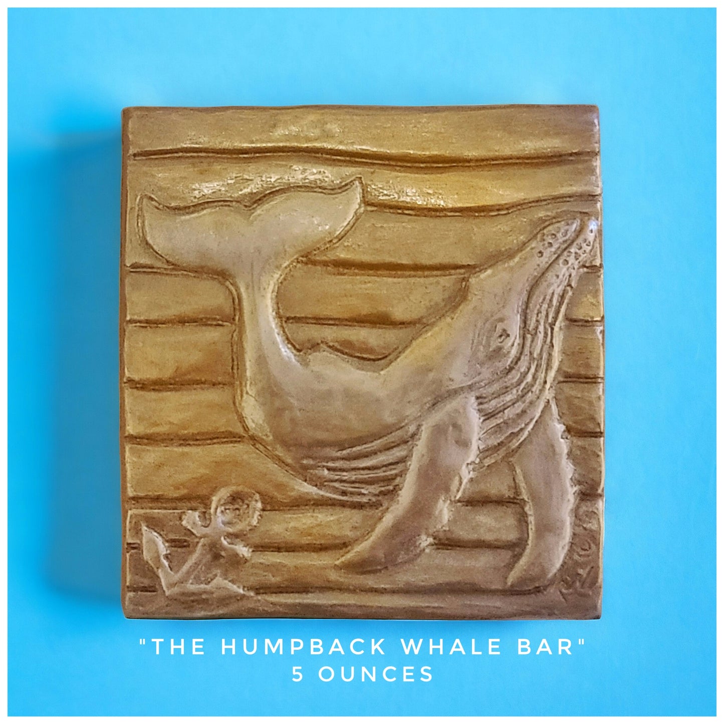 The Humpback Whale Bar